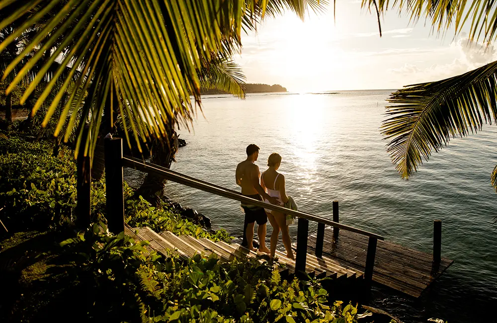 Sharpen your Samoa selling skills with our fun quiz