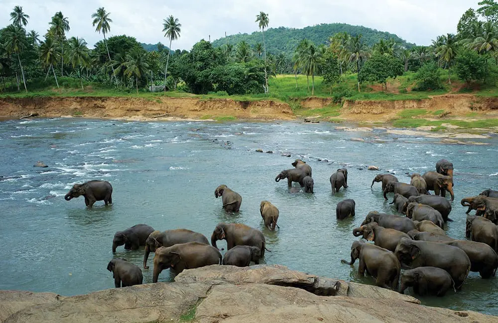 Japan, Kenya, Sri Lanka & more: new Globus and Cosmos Asia & Africa tours are open for 2027 bookings 5 Globus