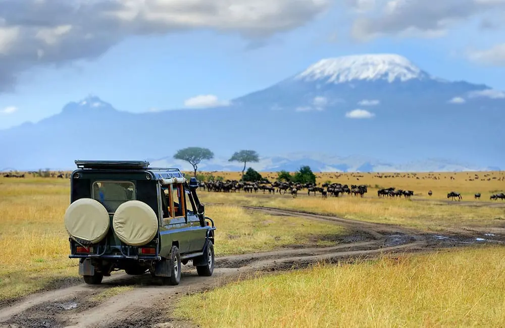 Japan, Kenya, Sri Lanka & more: new Globus and Cosmos Asia & Africa tours are open for 2027 bookings 6 Globus Cosmos
