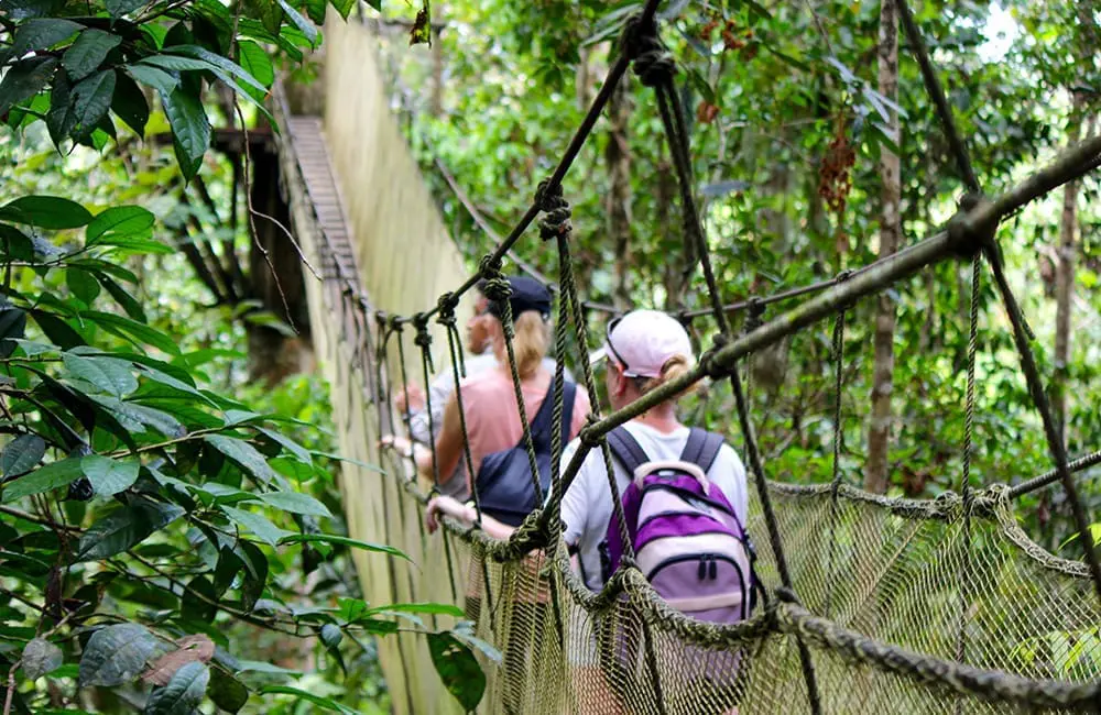 Sell South America, score Peru: Bunnik Tours launches $16K agent famil incentive 6 Bunnik Tours-Canopy Walkway in Amazon Jungle - Iquitos - Peru by Emily Fraser