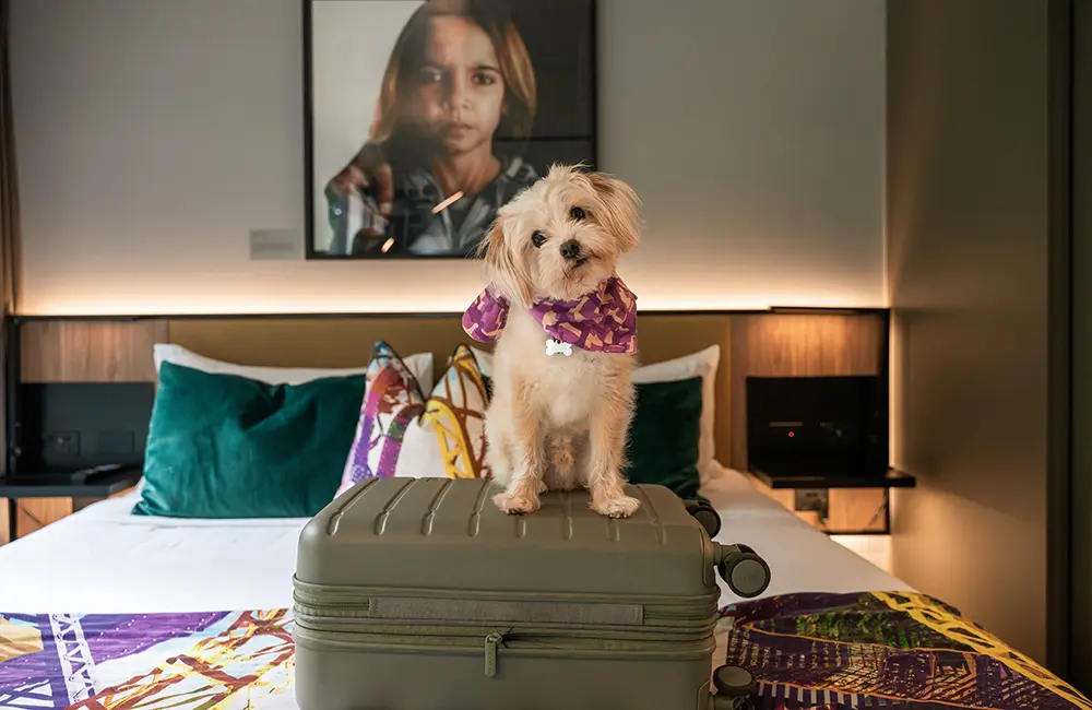 Pups welcome: Brisbane luxury riverside hotel rolls out dog-friendly stay package