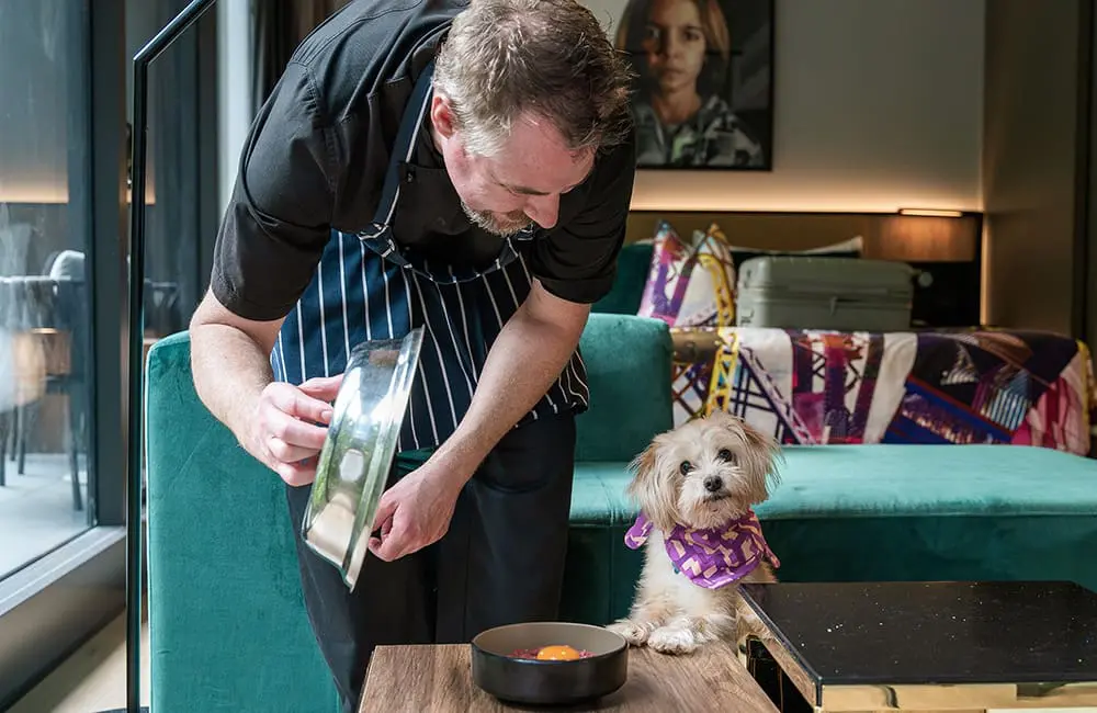 Chef serves beef tartare to a dog at Crystalbrook Vincent
