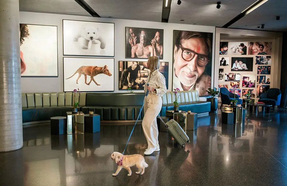 Woman walking her dog in lobby of Crystalbrook Vincent hotel looking at portraits on wall