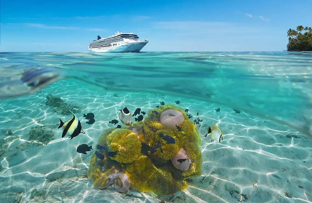 Norwegian Spirit cruise ship in the South Pacific with coral and fish in foreground