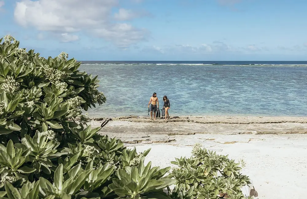 Snorkelling at Lady Elliot Island Eco Resort. Image: Hayley Andersen/TEQ
