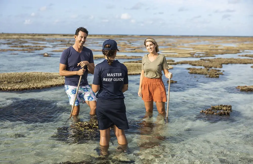 Sustainable experiences at Lady Elliot Island Eco Resort. Image: Mad Dog Productions/TEQ