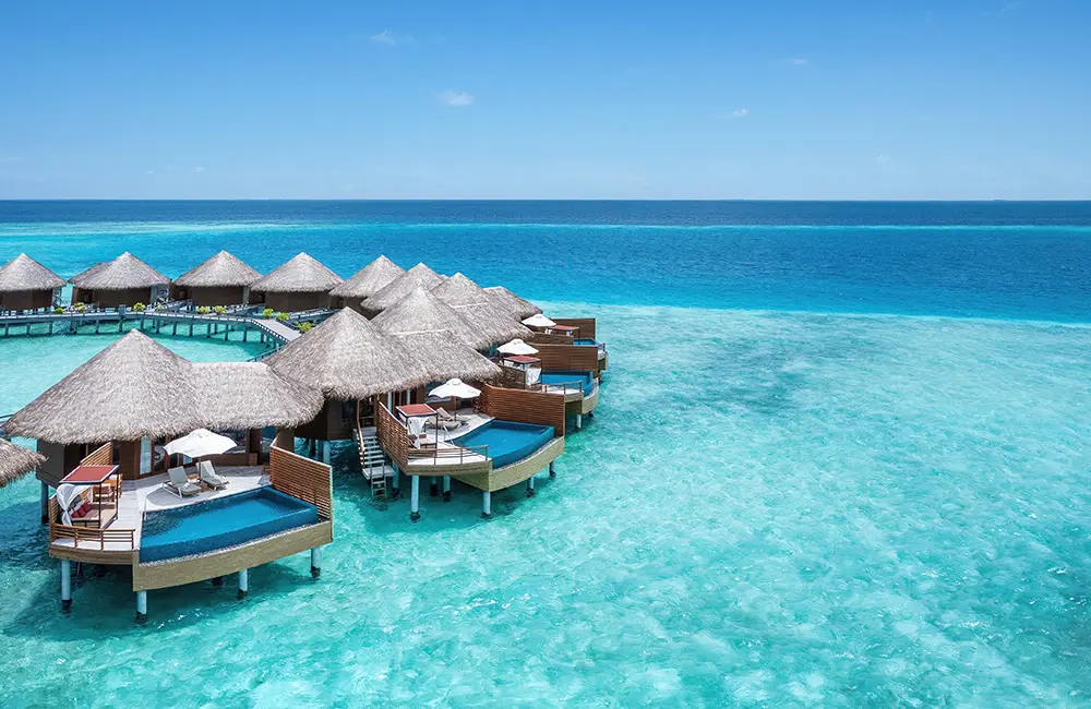 40 years’ expertise, one trusted travel partner: Here's what Total Holiday Options can do for you