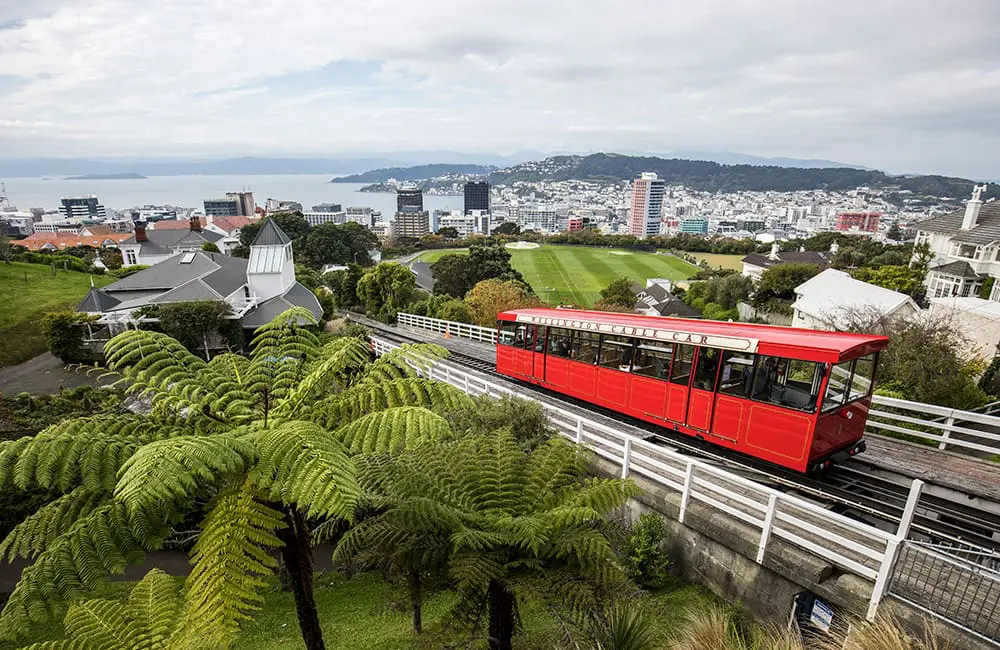 Beyond the backdrop: 13 new Infinity itineraries uncover a different side of New Zealand for Aussies 5 See the Wellington cityscape from Kelburn Hill.- Infinity Holidays x Tourism New Zealand campaign