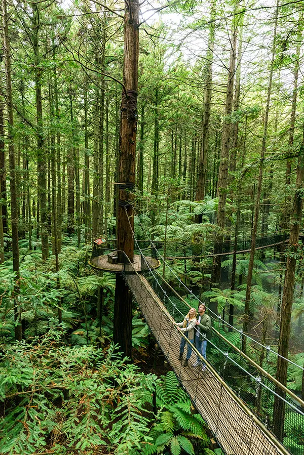 Beyond the backdrop: 13 new Infinity itineraries uncover a different side of New Zealand for Aussies 8 Feel dwarfed by nature in Rotorua, Bay of Plenty. - Infinity Holidays x Tourism New Zealand campaign