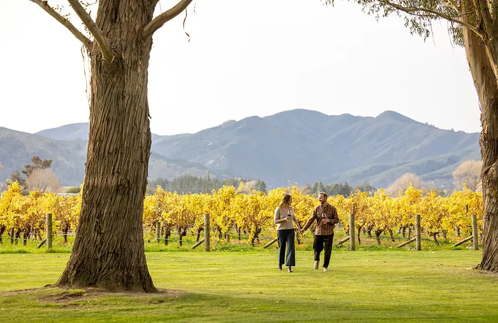 Beyond the backdrop: 13 new Infinity itineraries uncover a different side of New Zealand for Aussies 1 Couple walk with wine glasses in Blenheim, NZ. Infinity Holidays x Tourism New Zealand campaign