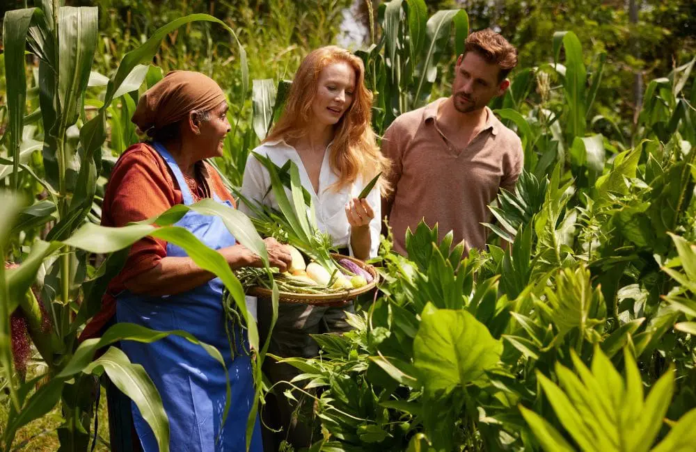 Global Wellness Institute chair Katherine Droga: forget trends; culture is king in wellbeing 1 Foraging and learning to cook traditional Sri Lankan dishes at Anantara Peace Haven Tangalle