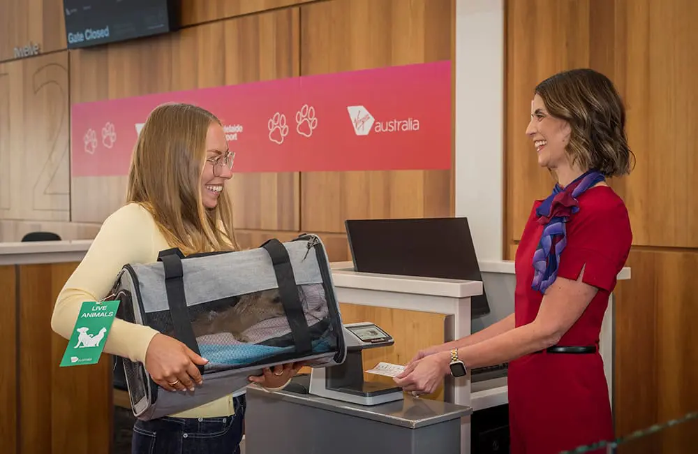 Inaugural Virgin Australia Adelaide Pets in Cabin Flight