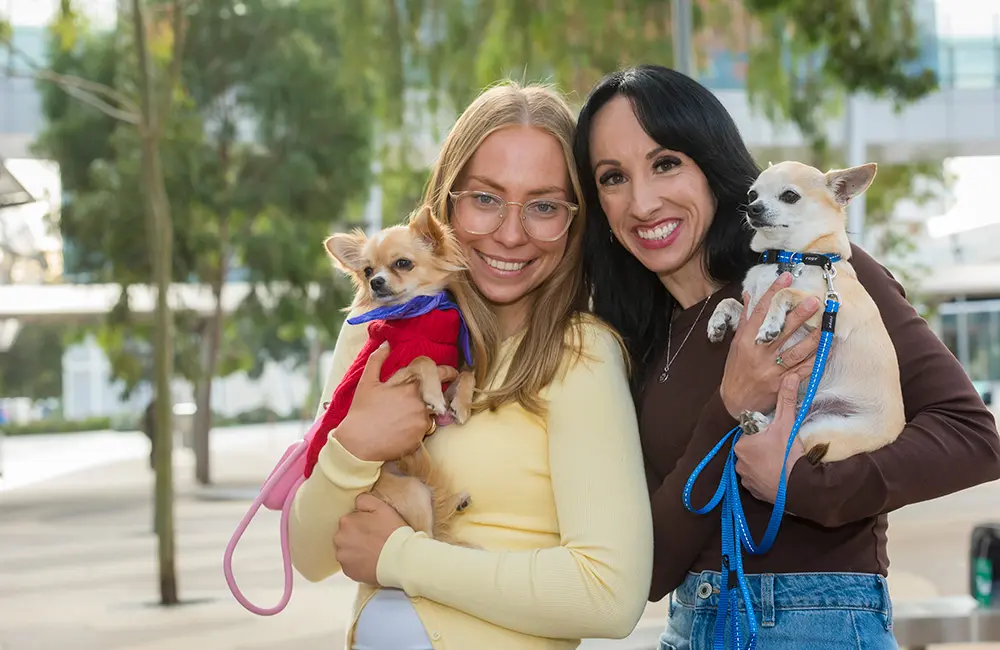 Paws and effect: Virgin Australia lands its first Pets in Cabin flight from Adelaide