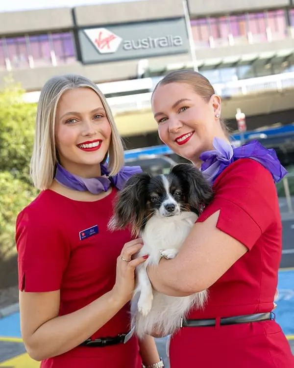  Two Virgin Australia crew members with a small dog – Pets in Cabin flights expand into Adelaide