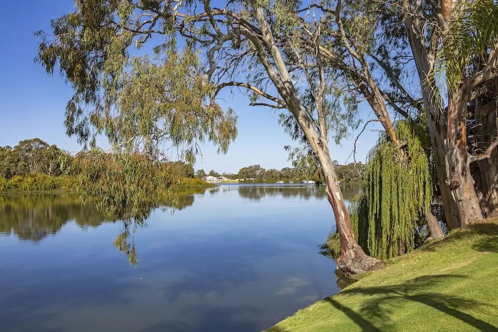 Idyllic, scenic River Murray on bright sunny day with tree overhang