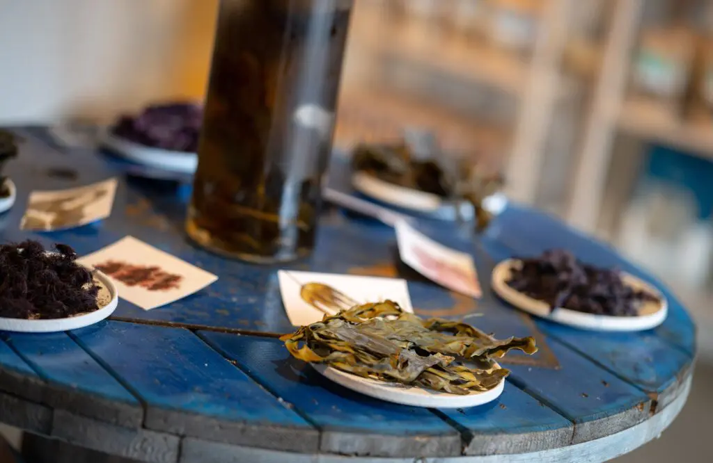 A taste of Norway: Meet the people bringing the coast to Hurtigruten’s tables 1 1000x650 9