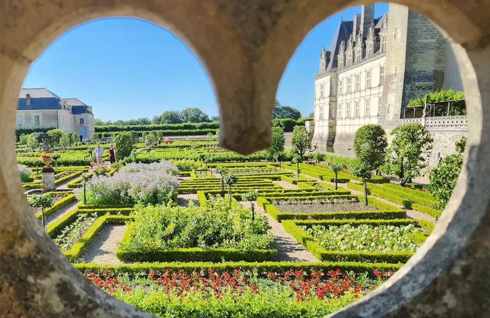 Vive la France: 6 reasons to book your clients onto Albatross Tours' new 2027 range