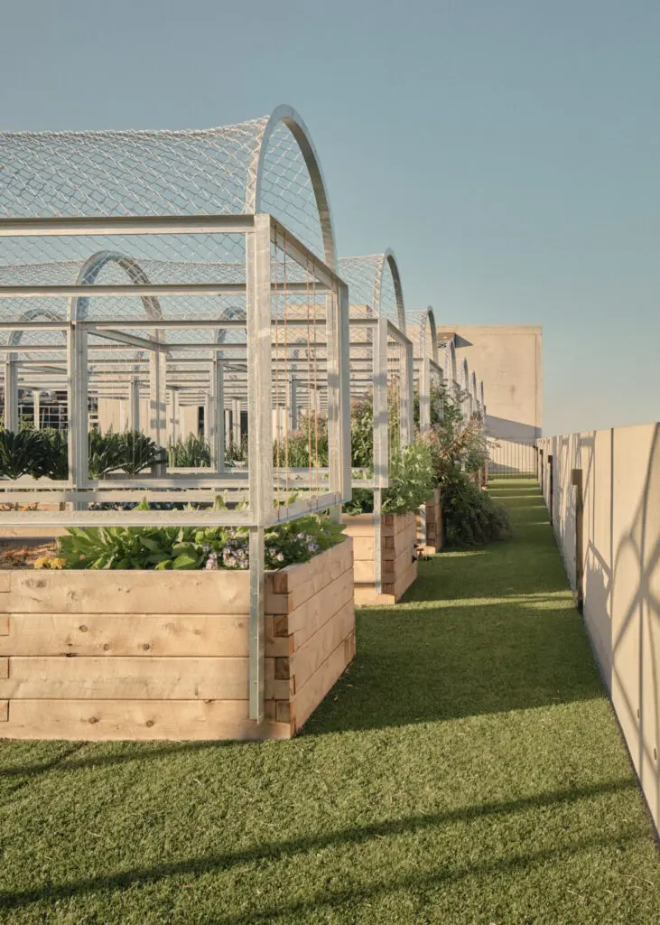 The Calile Hotel rooftop garden © David Chatfield