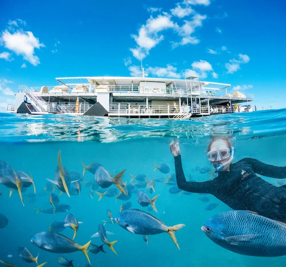 Cruise Whitsundays' Heart Pontoon