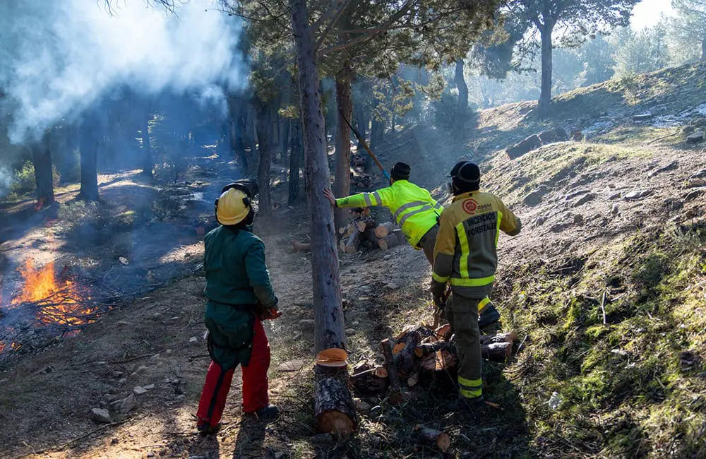 Europe wildfires cause havoc in France & Spain: What travellers need to know 4 Firefighters near Madrid. Image: Daniel1976/iStock