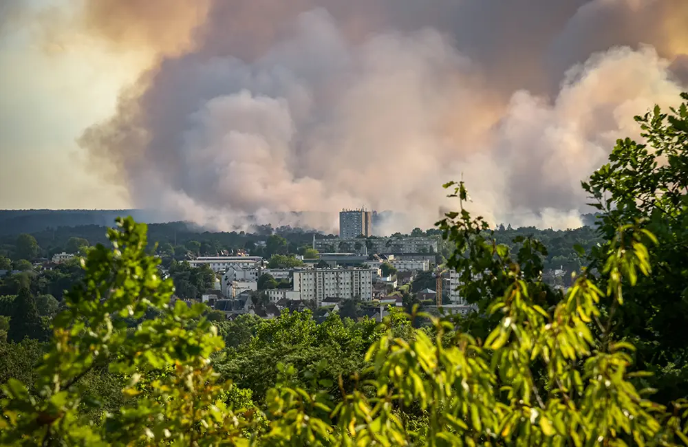 Europe wildfires cause havoc in France & Spain: What travellers need to know