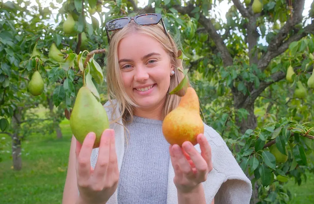 Canada Field Notes: Ella Uebergang on why travellers shouldn’t wait for winter in Canada 4 Ella says Canada’s fall colours are reason enough to travel before the snow arrives. Paynters fruit market, Kelowna. Image: Ella Uebergang