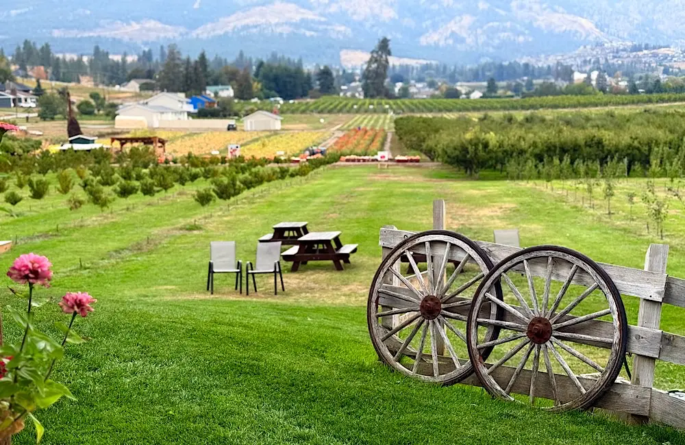 Canada Field Notes: Ella Uebergang on why travellers shouldn’t wait for winter in Canada 1 Paynters fruit market, Kelowna. Image: Ella Uebergang