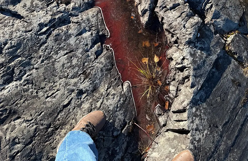Canada Field Notes: Ella Uebergang on why travellers shouldn’t wait for winter in Canada 3 Yellowknife on a hike with My Backyard Tours