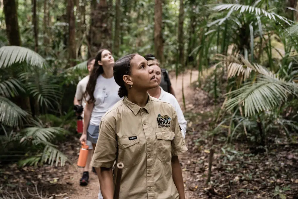 Journey Beyond bundles two UNESCO sites into a single Far North Queensland day 2 MGCC_Dreamtime-Walk-4 Port Douglas
