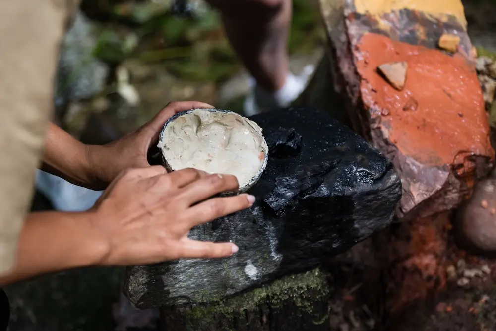 Journey Beyond bundles two UNESCO sites into a single Far North Queensland day 3 MGCC Dreamtime Walk
