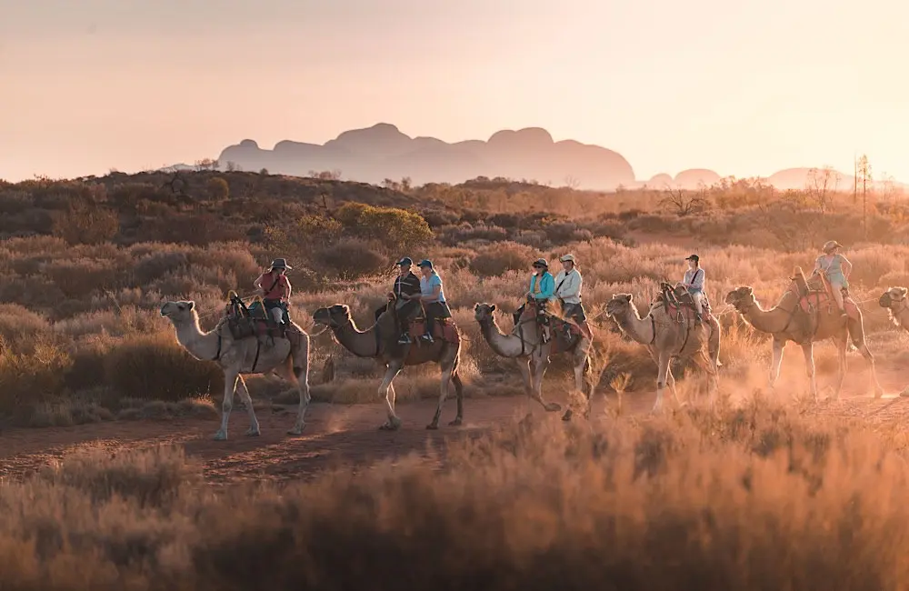 Red Centre: Uluru Camel Tours. Supplied. 