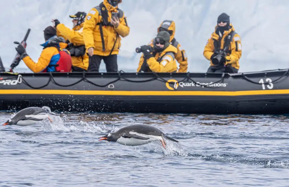 4 new ways to explore the Arctic and Antarctic with Quark Expeditions in 2028 2 Untitled design 2026 07 14T150258.646