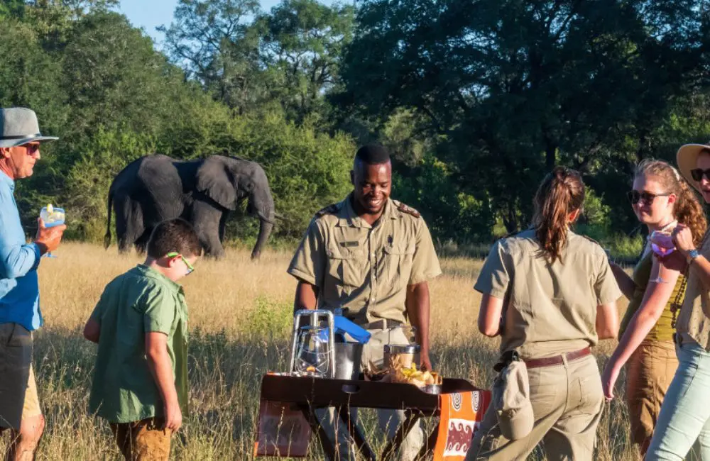 Sabi Sabi Collection’s Jacques Smit on its new luxury lodge, expansion plans and combatting overtourism 7 Sabi Sabi safari