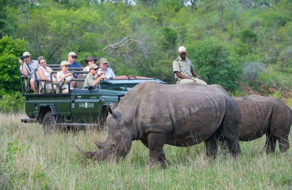Sabi Sabi Collection’s Jacques Smit on its new luxury lodge, expansion plans and combatting overtourism 4 Sabi Sabi safari