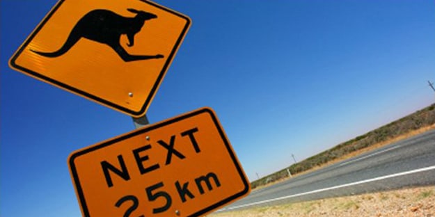 Domestic Insurance KarryOn