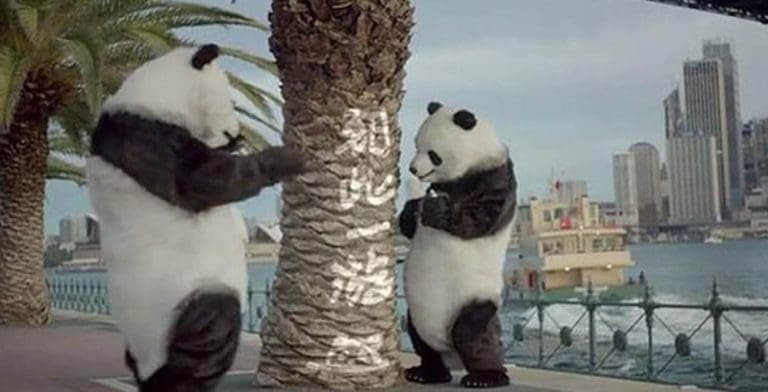 Naughty Pandas to encourage better tourist behaviour