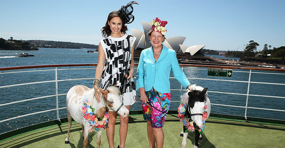 Melbourne Cup by land, air and sea