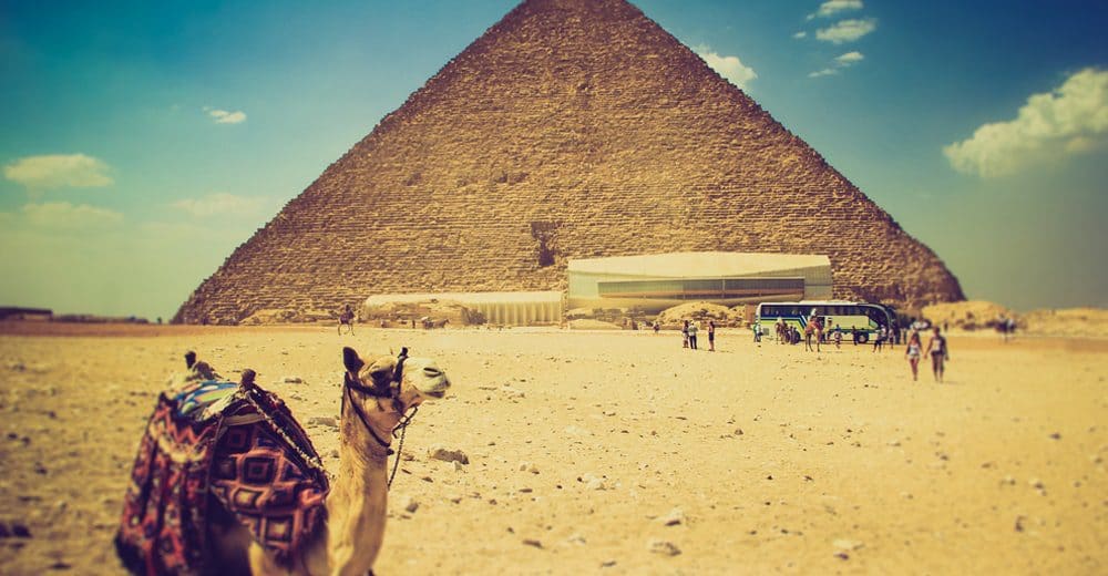 Egypt tourism rising as operators return