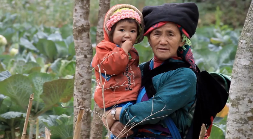 The Daily Travel Agent Bite: Tues 31 May 29 Travel Agent Buffalo Tours