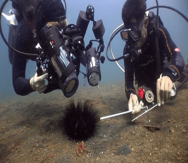 Best places to scuba dive in Papua New Guinea 15 png;base64829591301e37b8c3