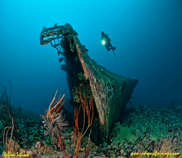 Best places to scuba dive in Papua New Guinea 14 png;base64f0dd49056c62878c