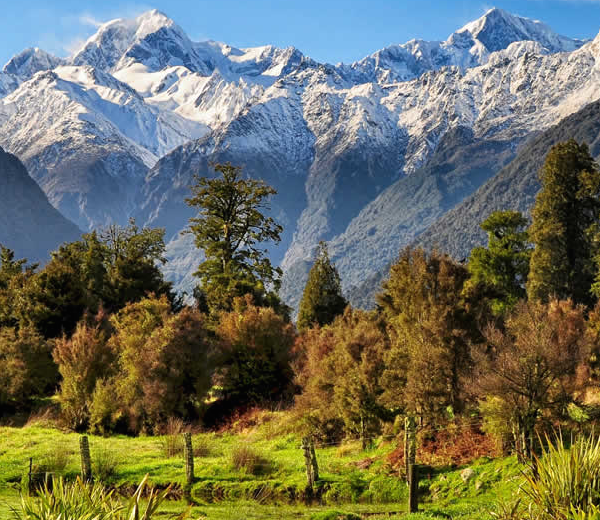 png;base64f8de64753fd241f