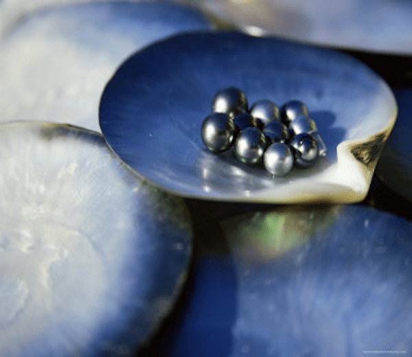 png;base64ff3bce89a2efe9b7