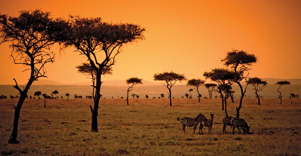 Top 10 Travel Trends for Africa in 2015