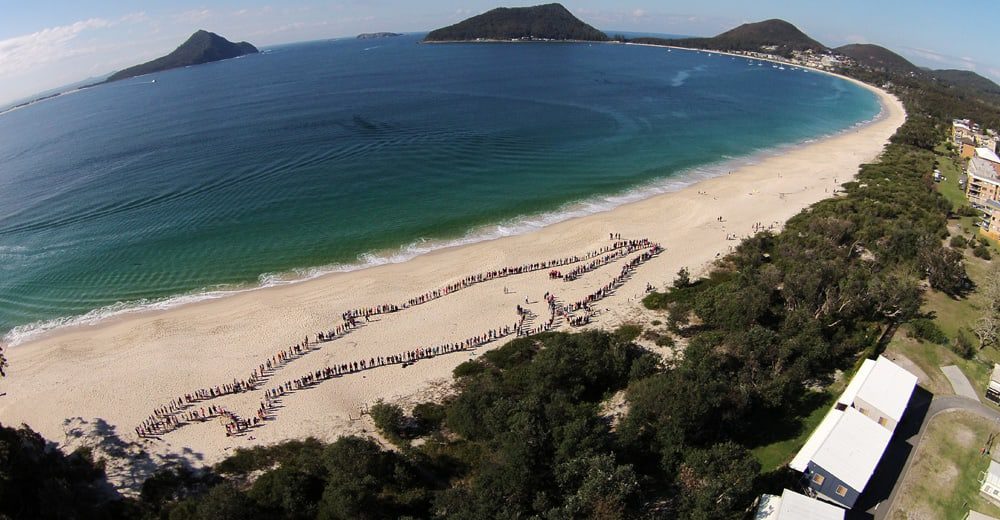 Giant human whale beached in Port Stephens