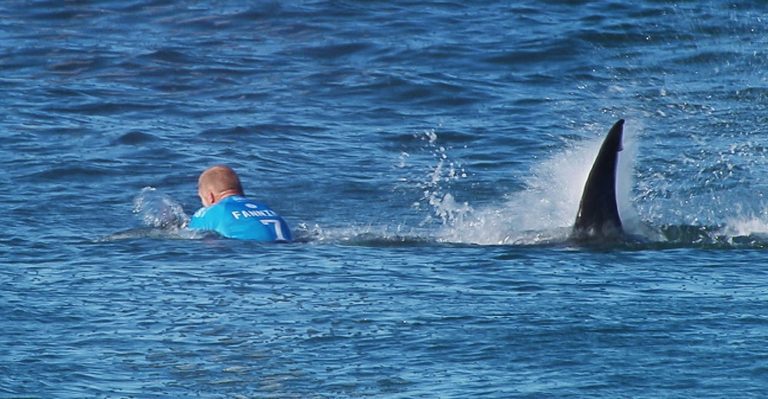 Shark attack leaving pro-surfers shocked