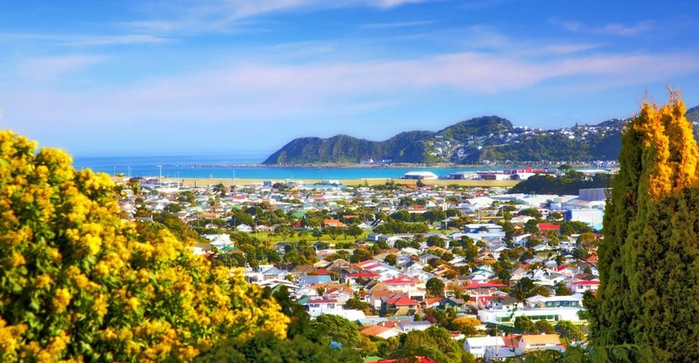 48 hours in Wellington on a budget