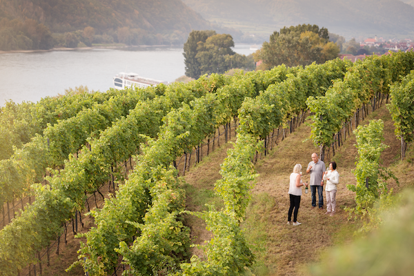 IS THIS THE ULTIMATE FLY AND CRUISE OFFER IN THE HISTORY OF MANKIND? 40 Screen Shot 2017-08-09 at 11.08.08 am