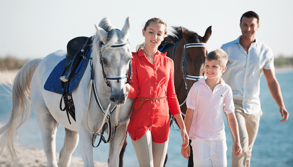 Screen Shot 2017-08-29 at 12.03.55 pm