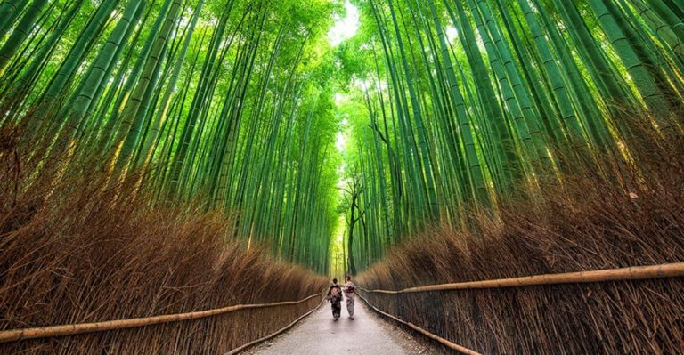 GOING BEYOND THE SURFACE OF JAPAN WILL DEFINITELY SURPRISE YOU
